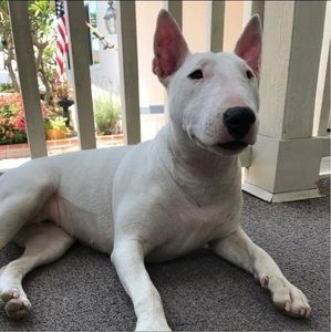 Meet your Posher, Deborah